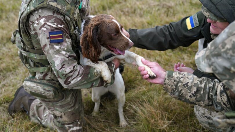 skynews british army ukraine 6682604